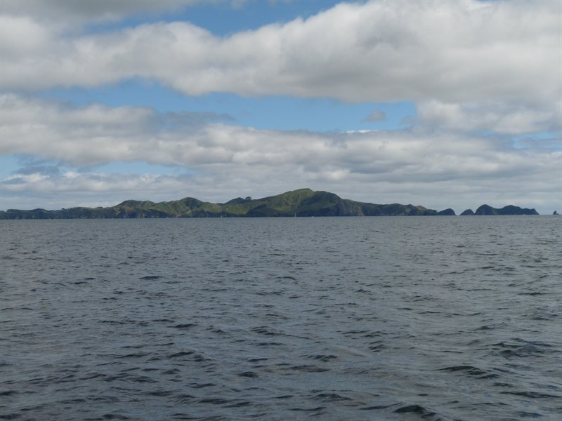 Sailing through the Bay of Islands
