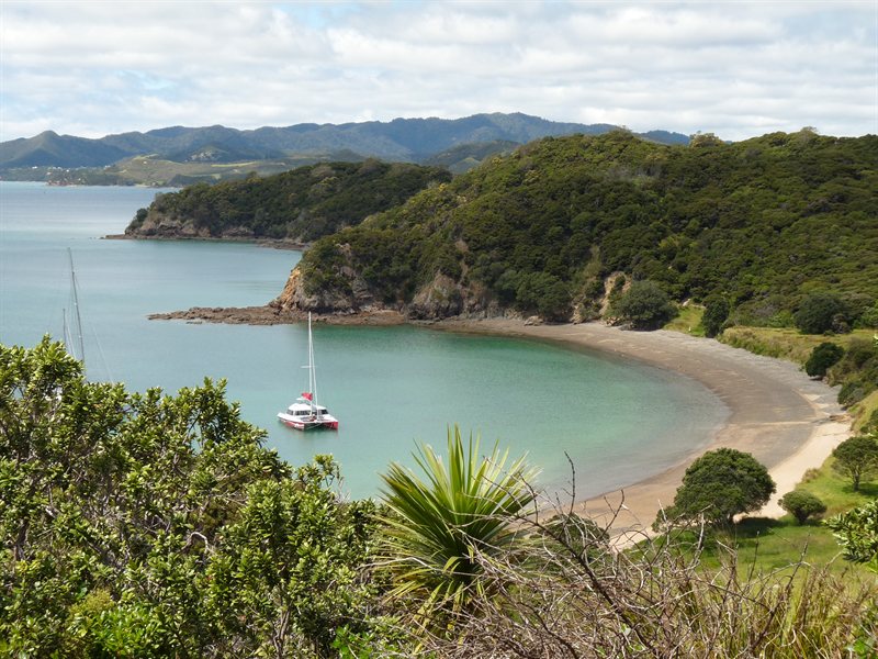 Our boat moored at Moturua Island Scenic Reserve