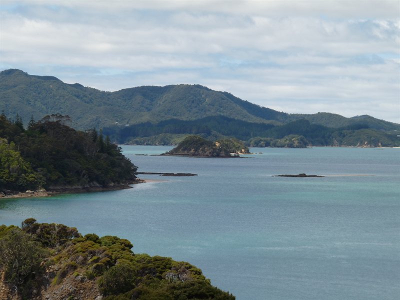Views over the Bay of Islands from Moturua Island Scenic Reserve