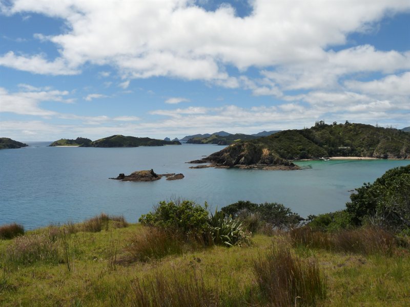 Views over the Bay of Islands from Moturua Island Scenic Reserve
