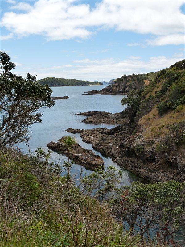 Moturua Island Scenic Reserve