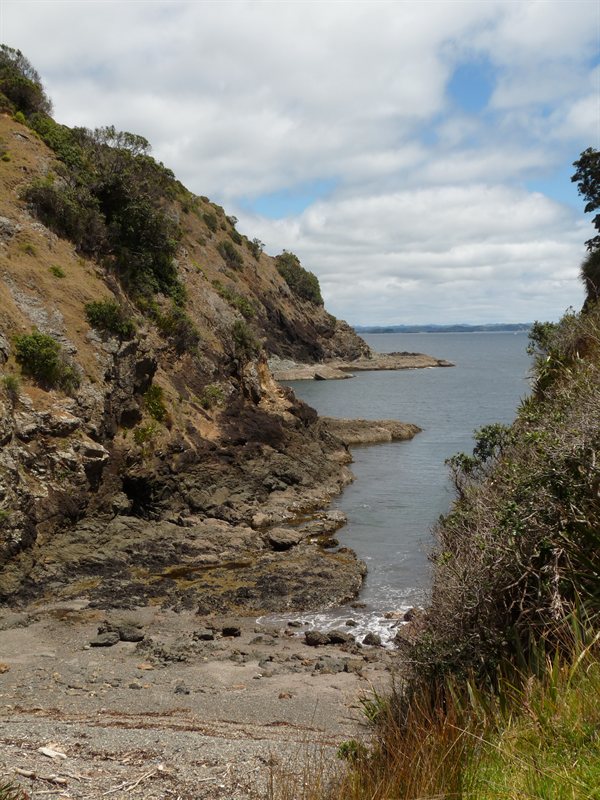 Moturua Island Scenic Reserve