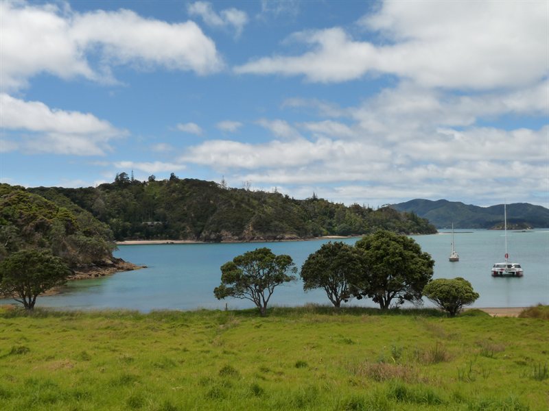 Moturua Island Scenic Reserve