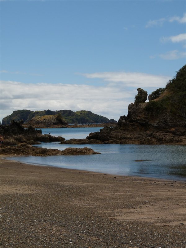 Moturua Island Scenic Reserve