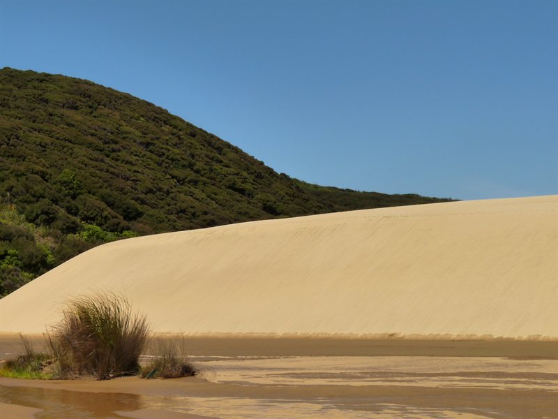 Giant sand dunes at Te Paki Recreation Reserve
