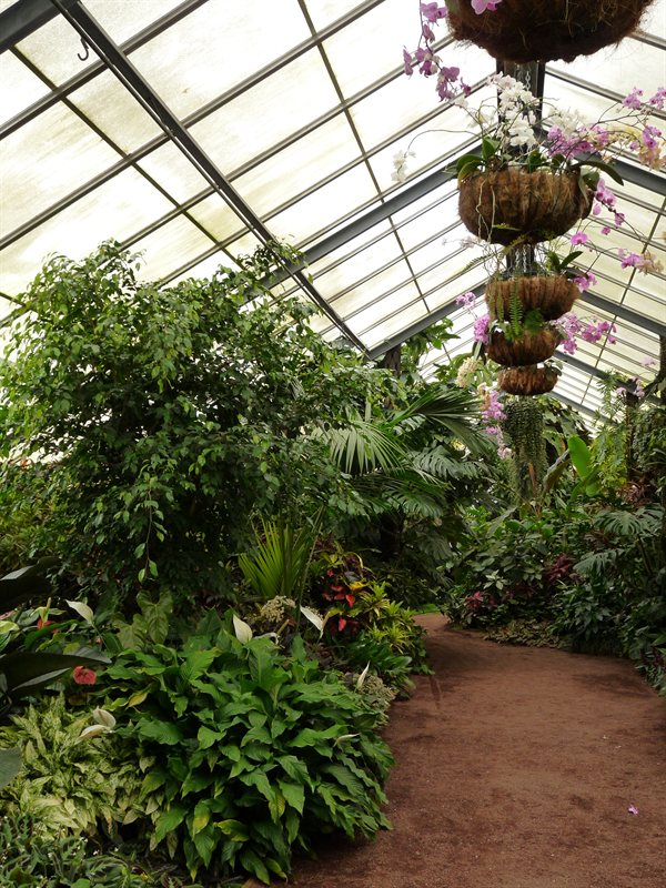 Victorian Greenhouse at Hamilton Gardens