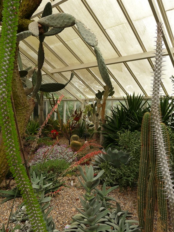 Victorian Greenhouse at Hamilton Gardens