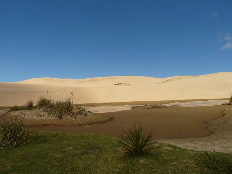 Giant sand dunes at Te Paki Recreation Reserve