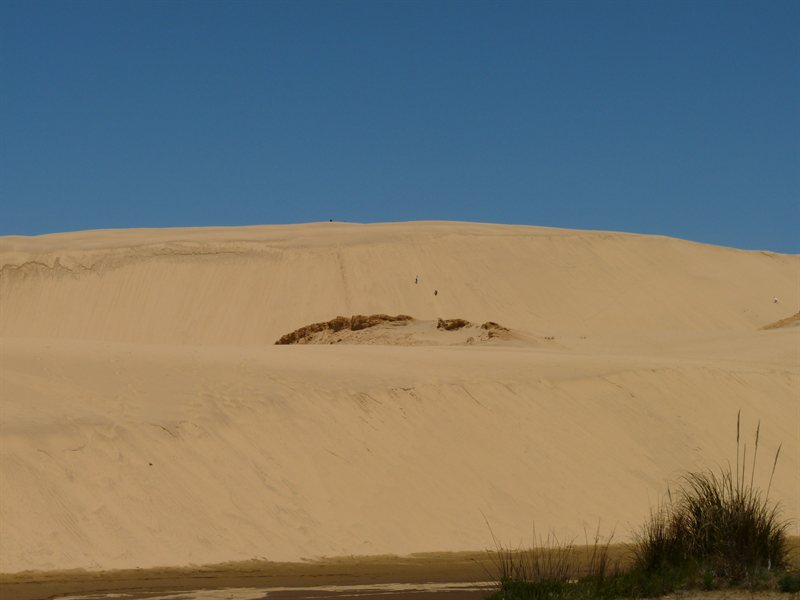Giant sand dunes at Te Paki Recreation Reserve