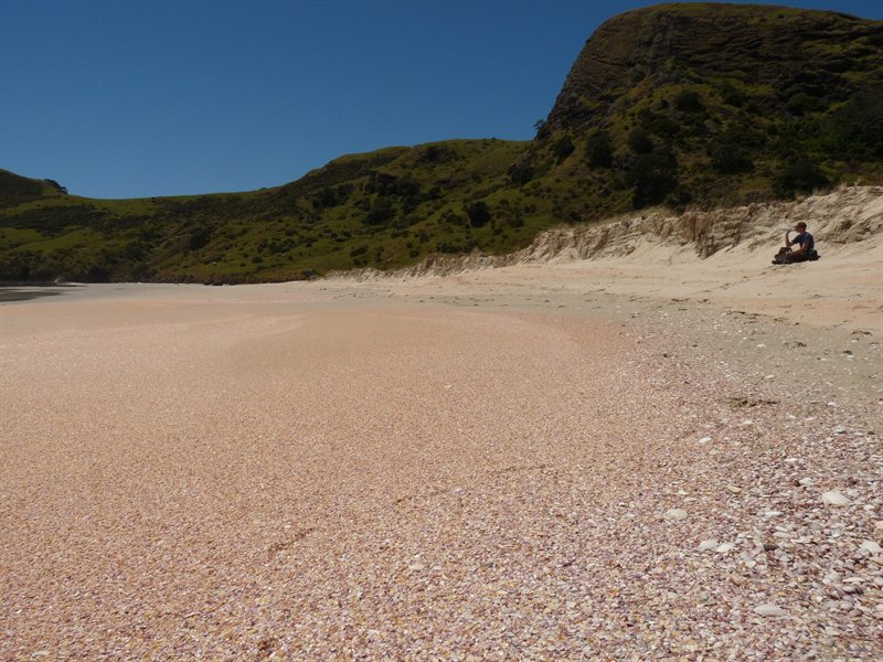 Lunch at Spirits Bay