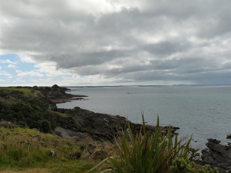 Coastline near the hostel in Henderson Bay