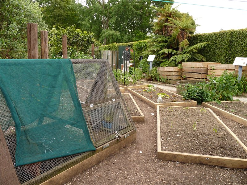 Chickens and raised beds in the Suistanable Backyard Garden at Hamilton Gardens