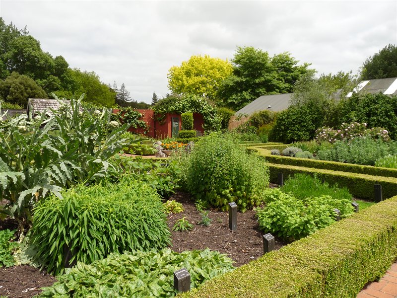 Herb Garden at Hamilton Gardens