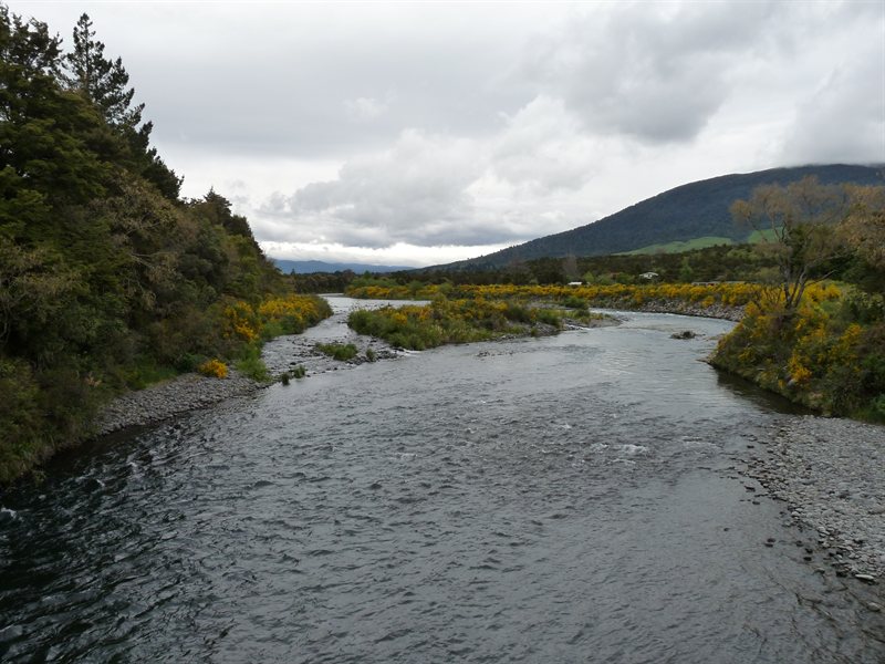 The Tongariro River
