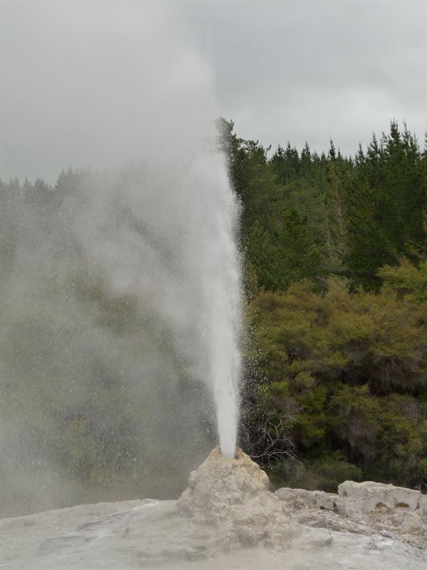 Lady Knox Geyser