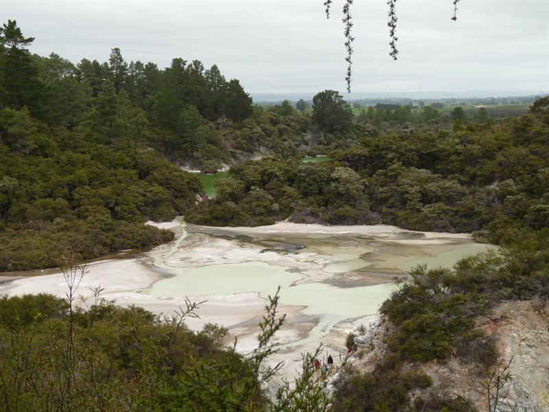 Panoramic View over the Kaingaroa Forest