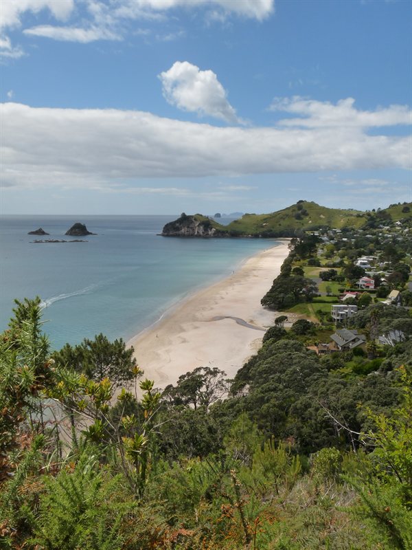 View over Hahei Beach