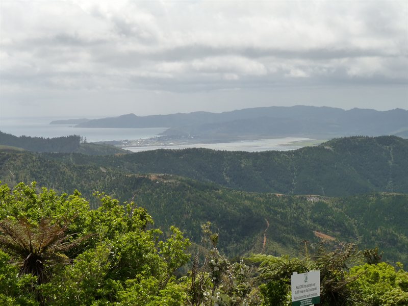 Far north Cormorandal