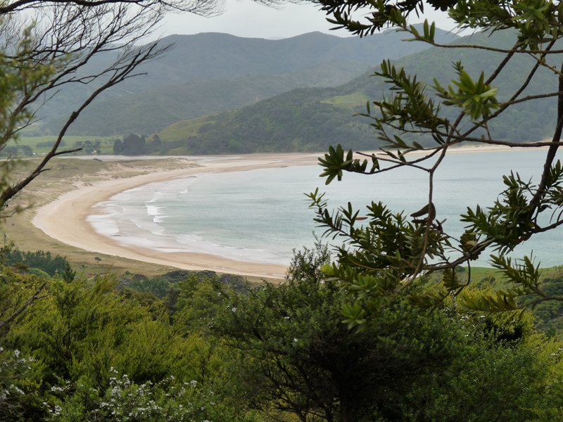 Far north Cormorandal