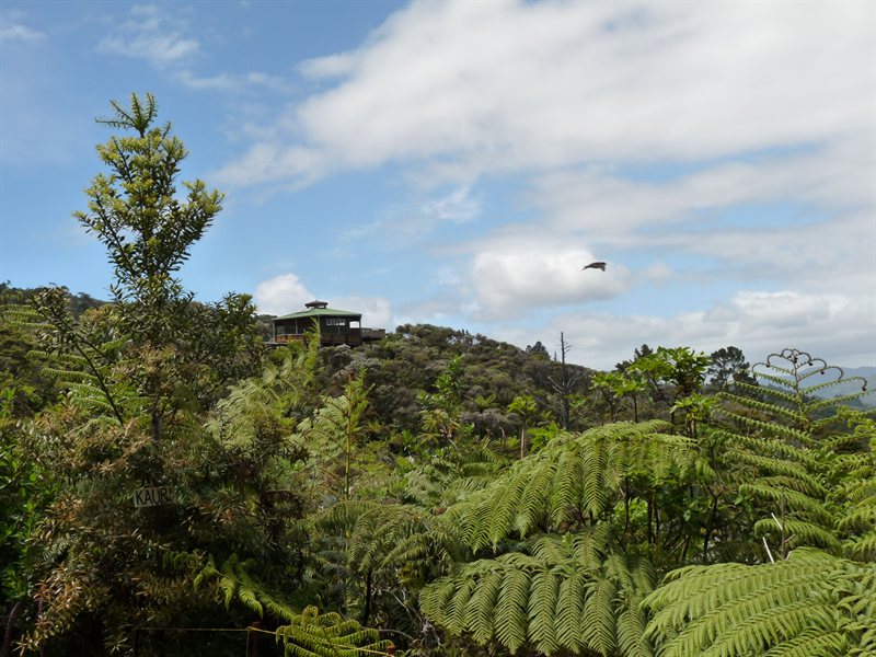 The Eyefull Tower from the line