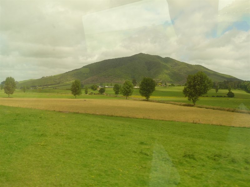 Views from the train