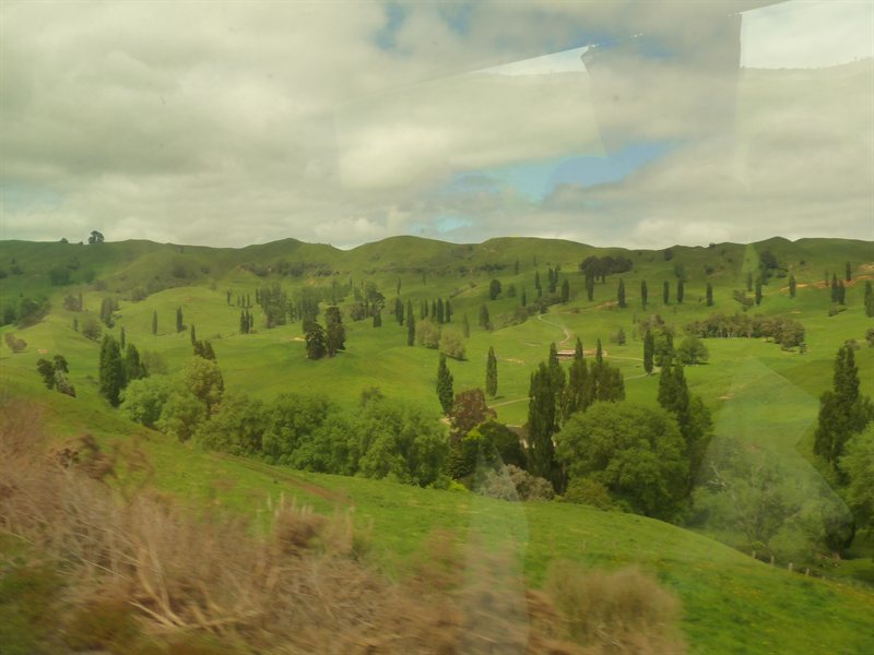 Views from the train