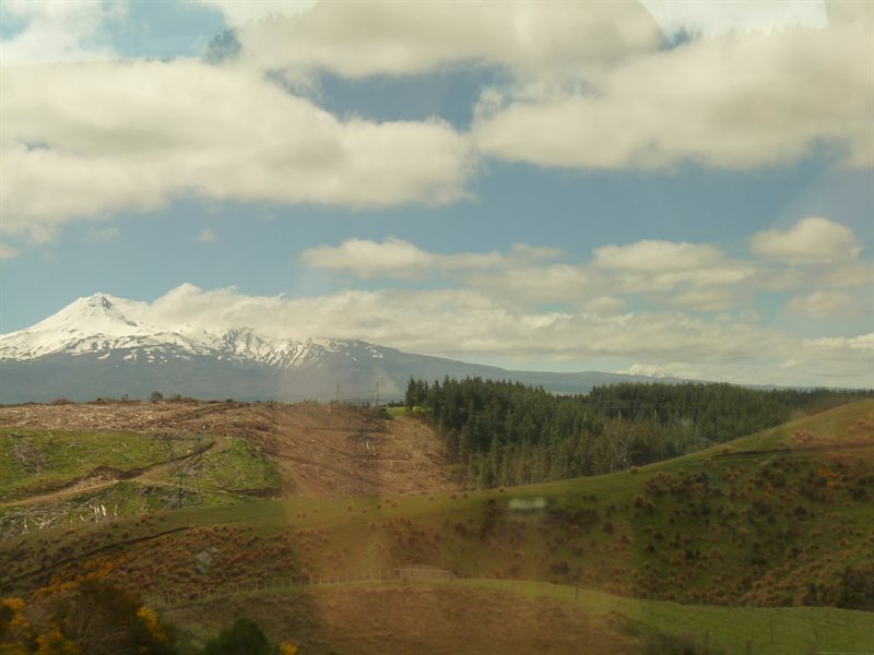 The mountains of the Tongariro National Park from the train