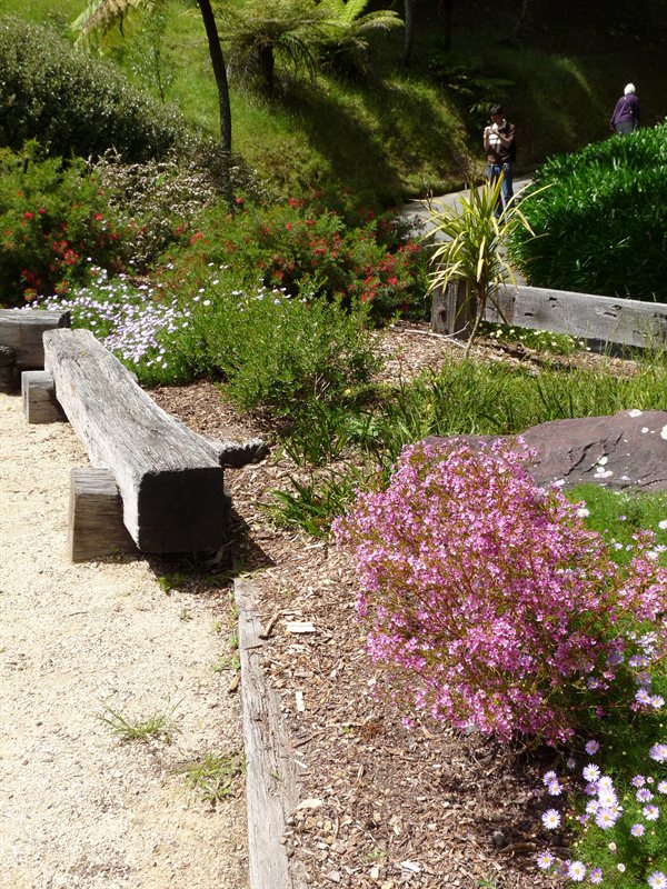 The Australian Garden at the Wellington Botanic Gardens
