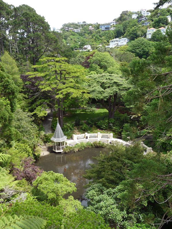 The duck pond from the Treehouse Visitor Centre