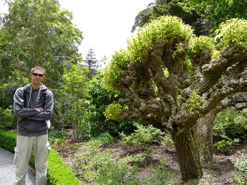 Ed and a Coral Tree at the Wellington Botanic Gardens