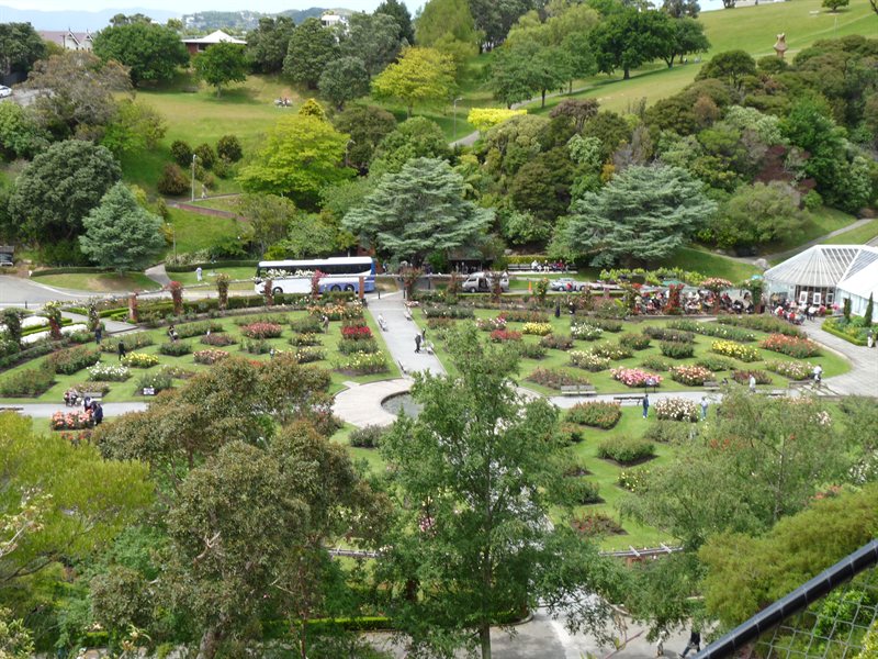 The Lady Norwood Rose Garden