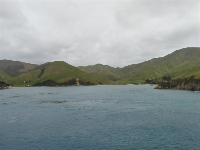 Coming through Marlborough Sound on the ferry