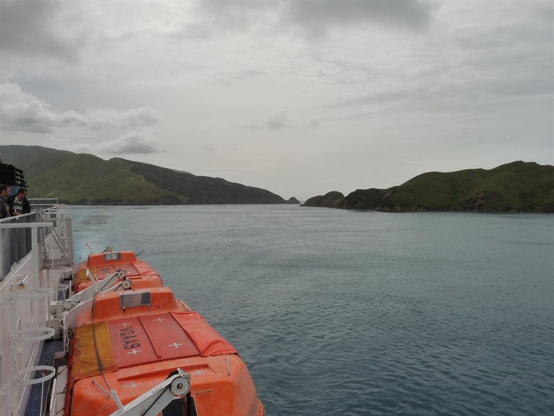 Coming through Marlborough Sound on the ferry