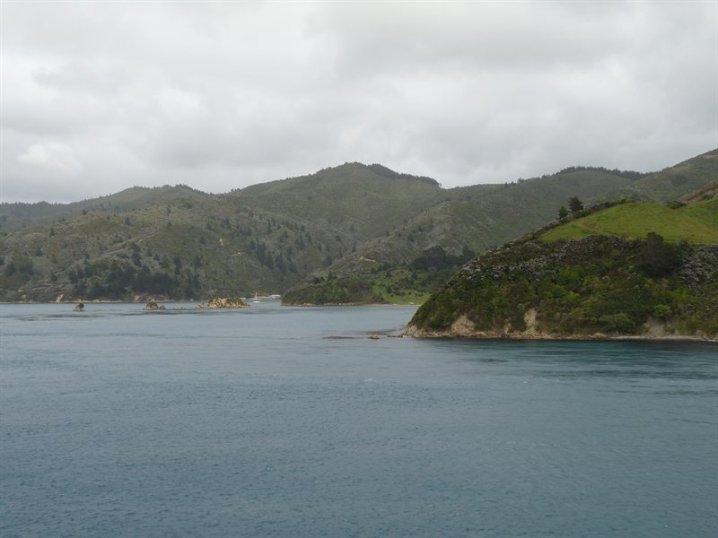 Coming through Marlborough Sound on the ferry