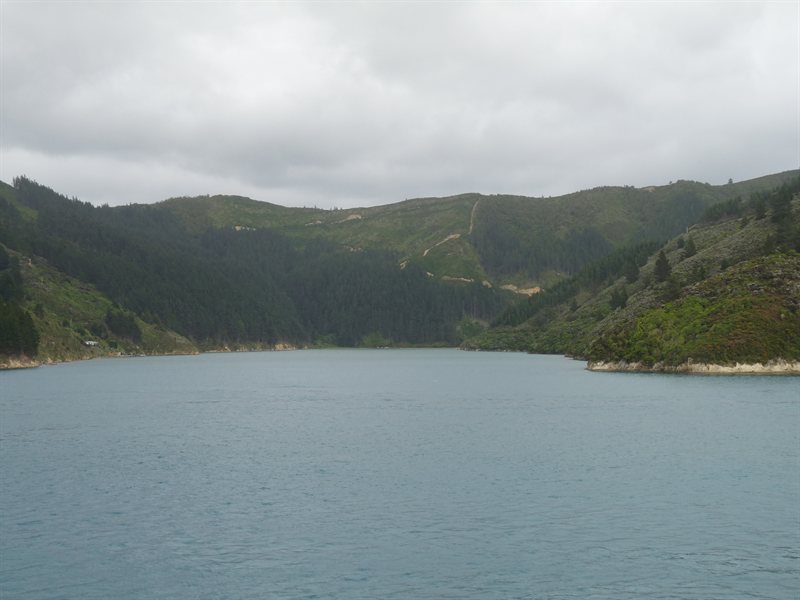 Coming through Marlborough Sound on the ferry