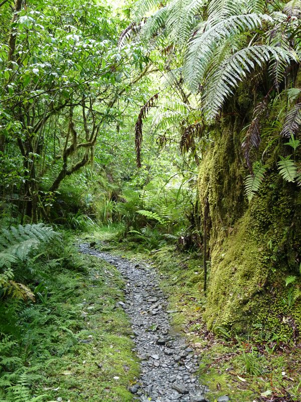 The path to Roberts Point