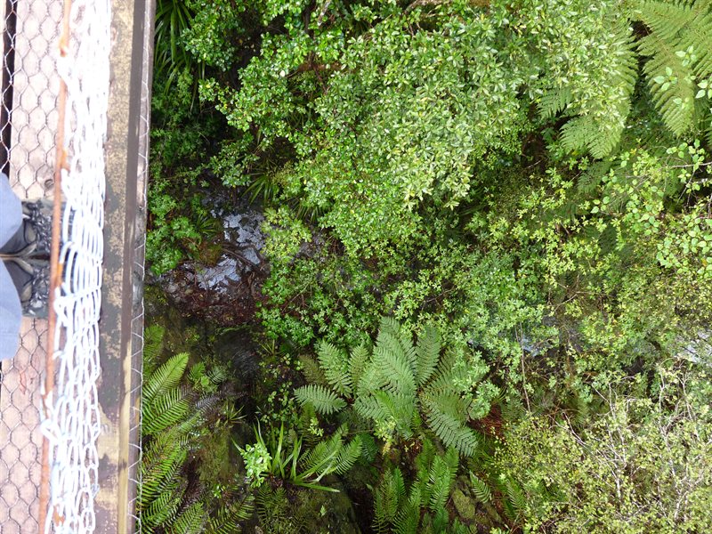 Looking down from one of the swing bridges on the way to Roberts Point