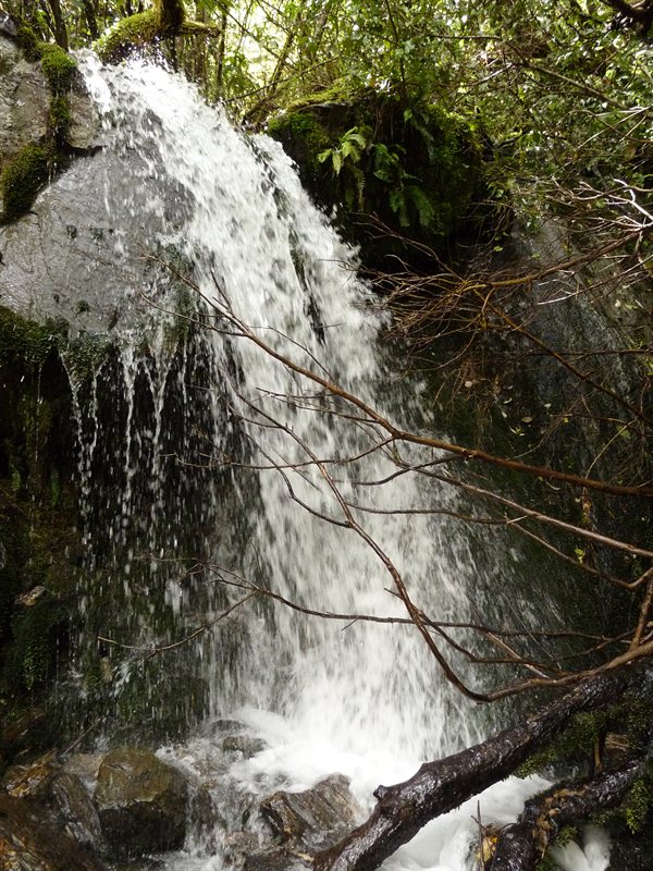 Waterfall on the way to Roberts Point at Franz Joseph Glacier