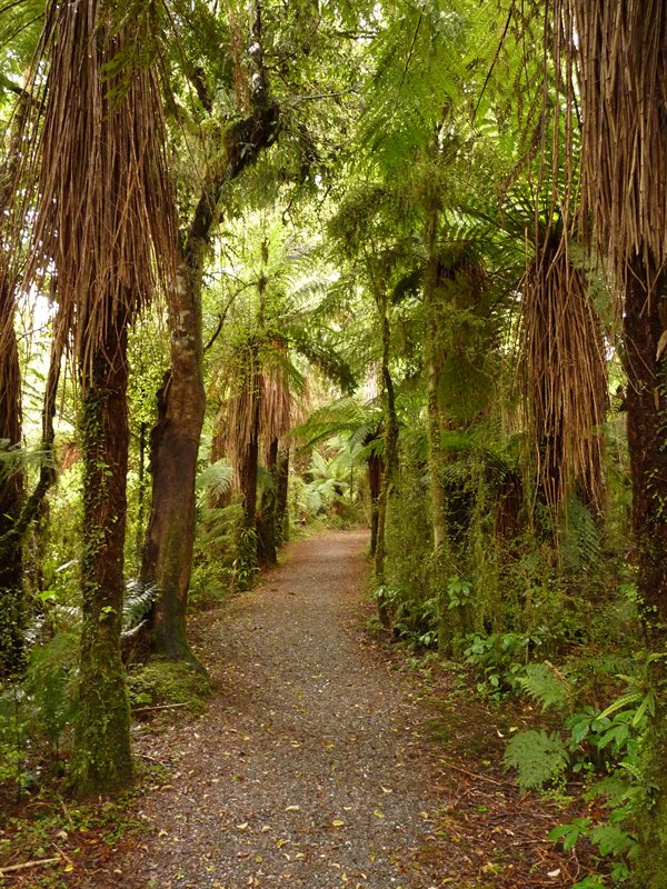 The pathway to Roaring Billy Falls
