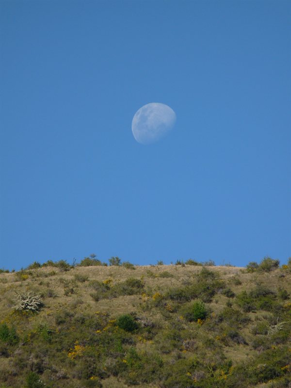 The rising moon over Arrowtown