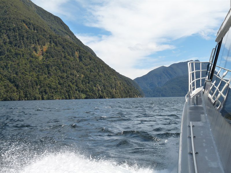 Views of Doubtful Sound