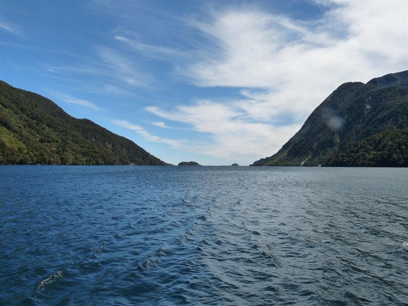 Views of Doubtful Sound