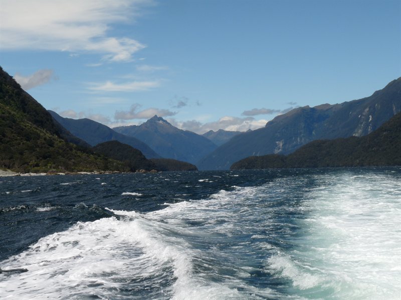Views of Doubtful Sound