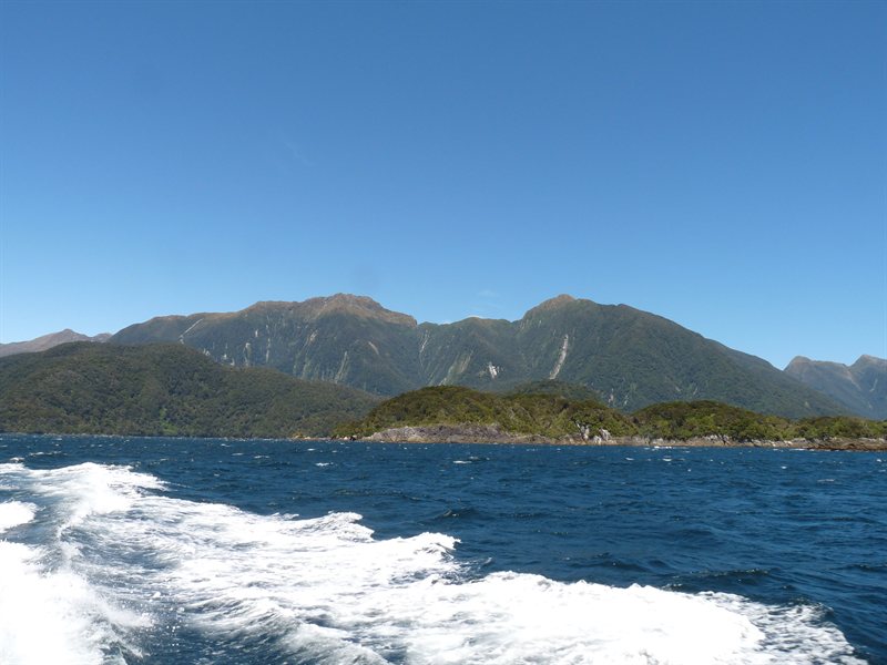 Views of Doubtful Sound