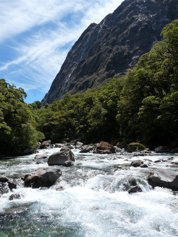 River by Milford Sound road
