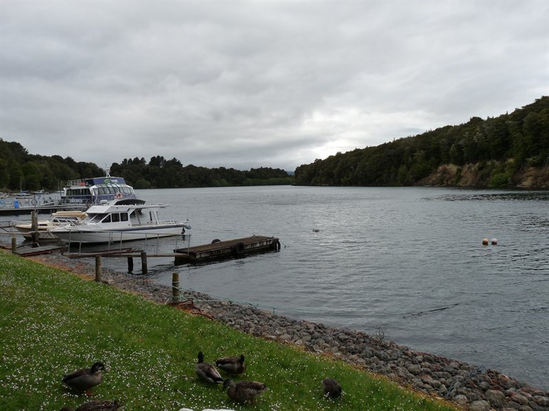 Pearl Harbour, Manapouri