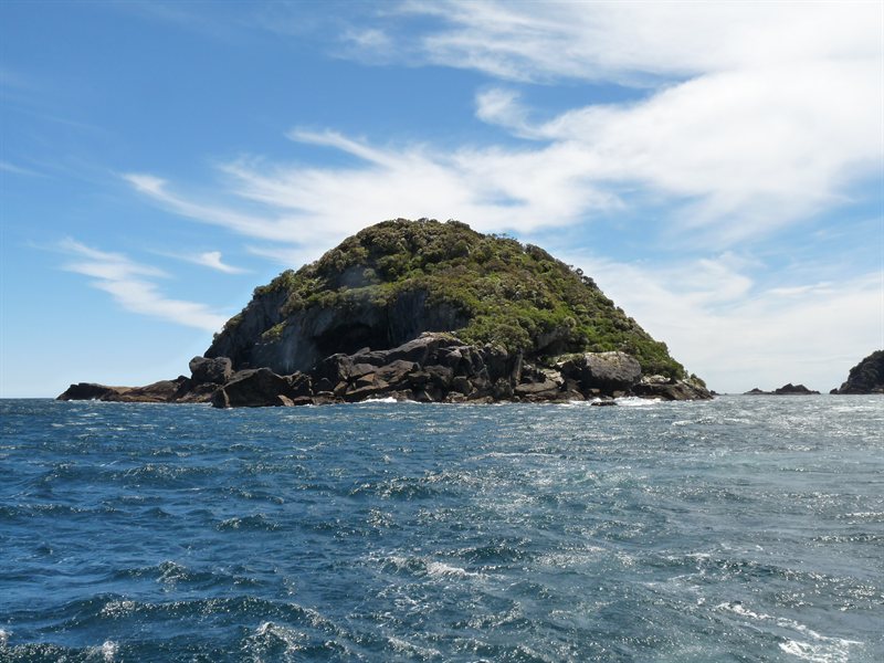 A rock at the entrance to Doubtful Sound