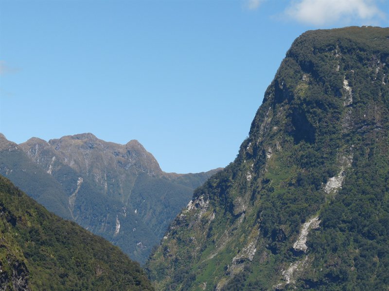Views of Doubtful Sound