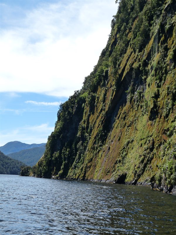 Views of Doubtful Sound