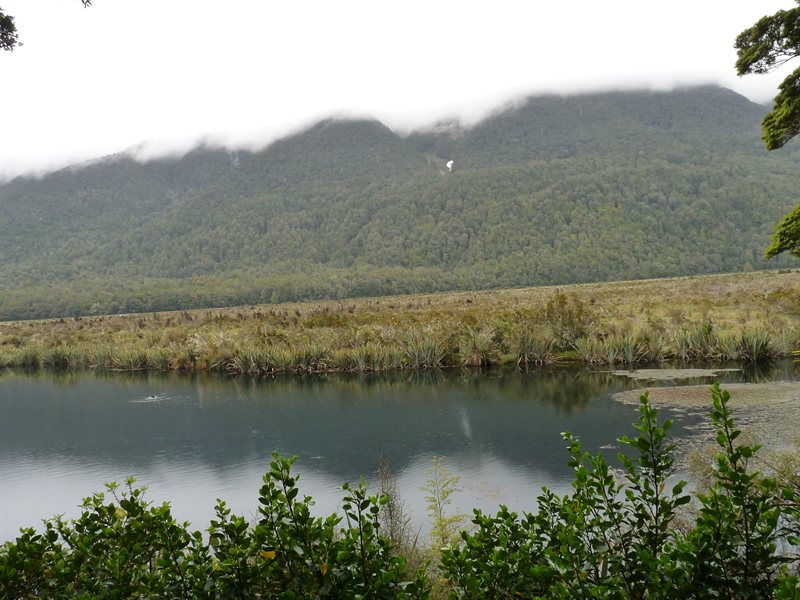 Mirror Lakes on the way to Milford Sound